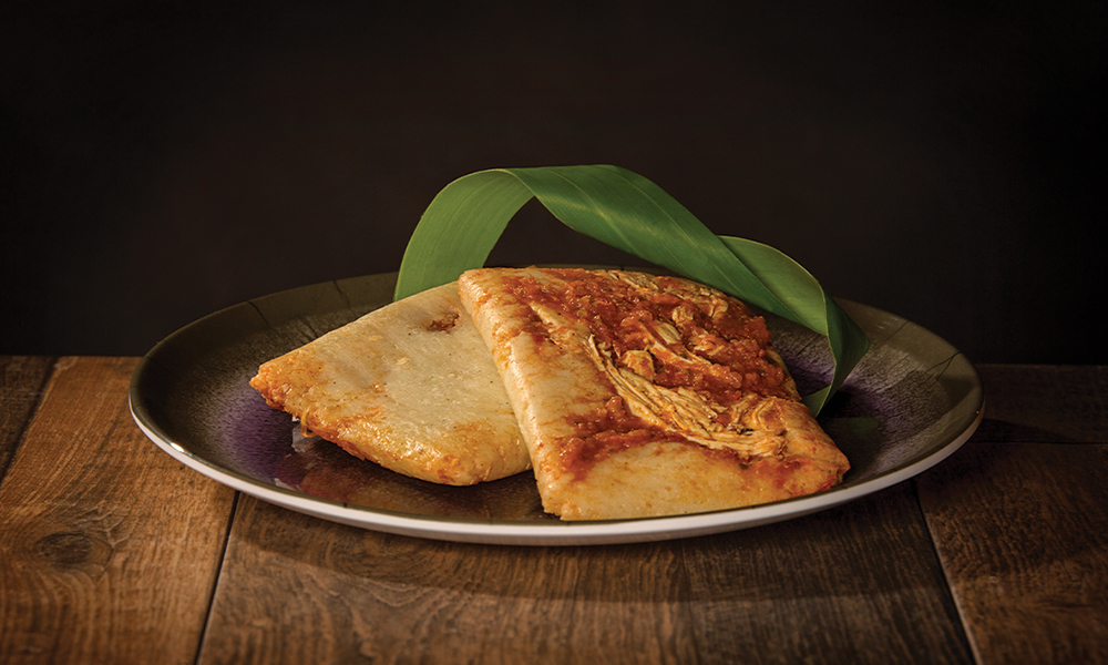 SALSA de JITOMATE con POLLO   